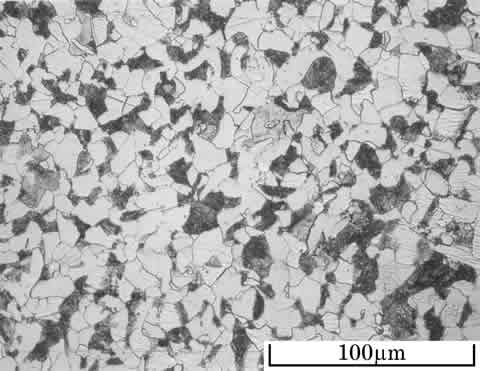 TMT OM_System 3.03 : scr420.htm ; aug25_29.jpg
